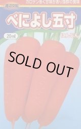 画像: 送料無料　[人参]　べによし五寸　20ml　渡辺農事（株）