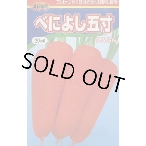 画像: 送料無料　[人参]　べによし五寸　20ml　渡辺農事（株）