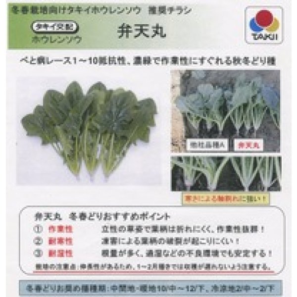 画像3: 送料無料　[ほうれんそう]　弁天丸　40ml　タキイ種苗　RF (3)