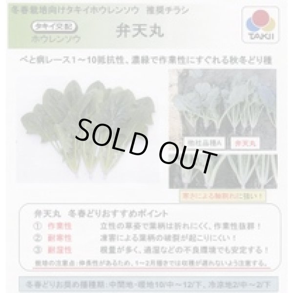 画像3: [ほうれんそう] 弁天丸 3万粒(Mサイズ) タキイ種苗 (3)