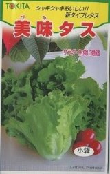 画像: 送料無料　[レタス]　美味タス　2ml(およそ700粒)　トキタ種苗(株)