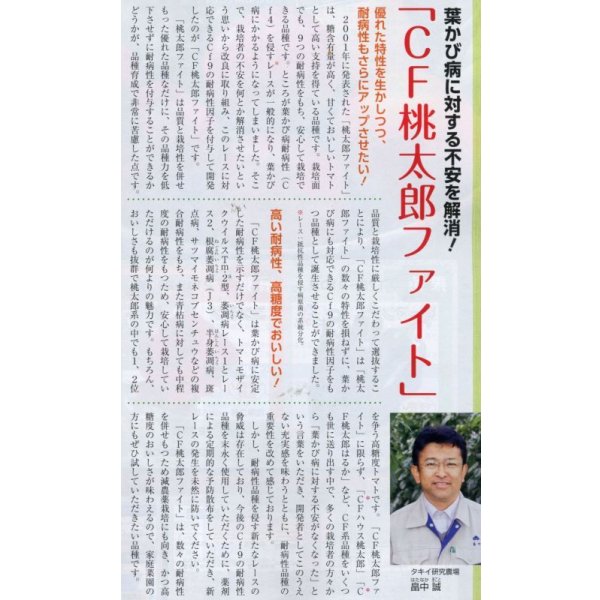 画像7: 送料無料 [トマト/桃太郎系] CF桃太郎ファイト 1000粒 貴種(コートしてません) タキイ種苗(株) (7)