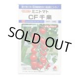 画像: 送料無料　[トマト/ミニトマト]　CF千果　小袋(16粒)　タキイ種苗(株)　DF