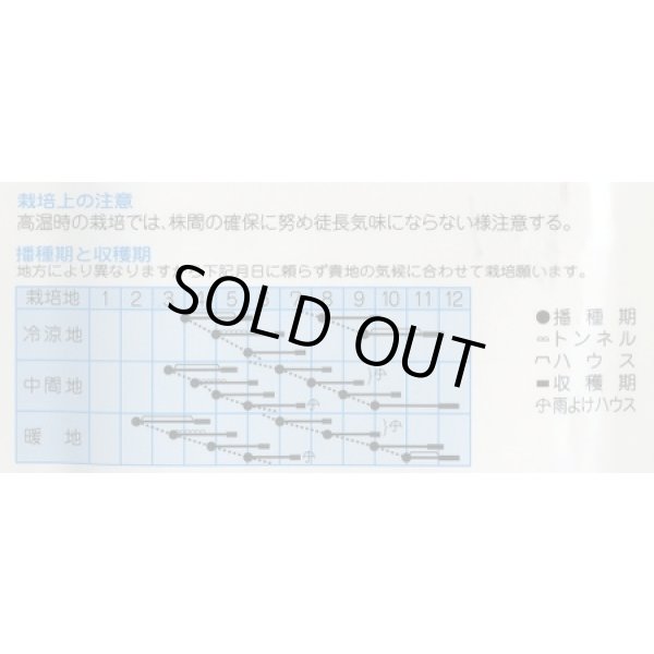 画像2: 送料無料　チンゲンサイ　CR夏専科　2.5ml　(株)タカヤマシード (2)