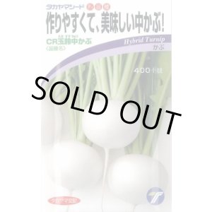 画像: 送料無料　[かぶ]　CR玉鈴中[かぶ]　4ml（約900粒）　(株)タカヤマシード