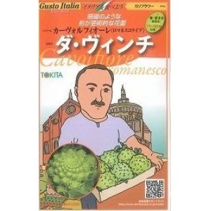 画像: [イタリア野菜]　　ダ・ヴィンチ　５０粒　　トキタ種苗（株）