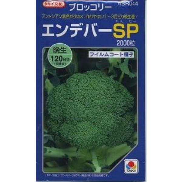 画像1: [ブロッコリー] エンデバーＳＰ 2000粒 タキイ種苗(株) (1)