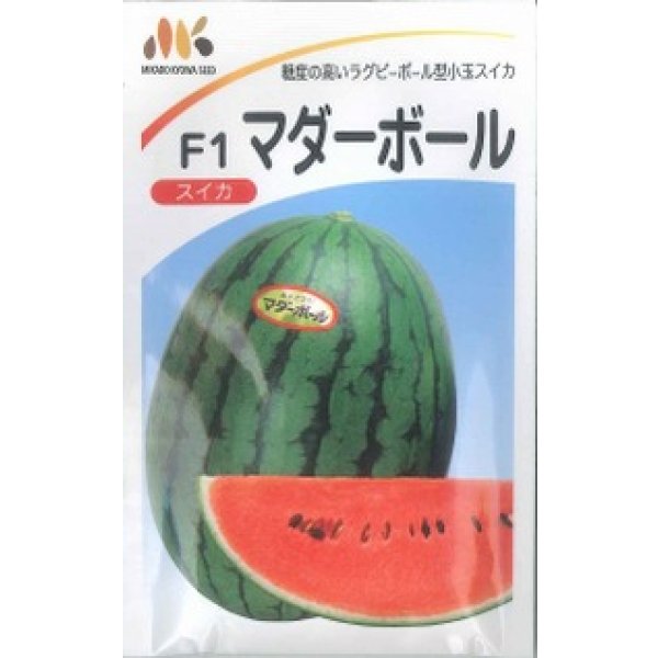 画像1: 送料無料　[スイカ]　小玉スイカ　F1マダーボール　200粒　ヴィルモランみかど（株） (1)