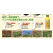 画像2: 農薬　除草剤　ゴーゴーサン乳剤 　 500ml (2)