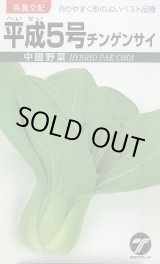画像: 送料無料　[中国野菜]　チンゲンサイ　平成5号　10ml　(株)タカヤマシード