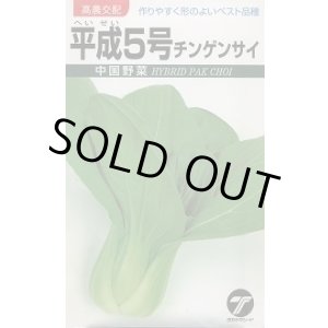 画像: 送料無料　[中国野菜]　チンゲンサイ　平成5号　10ml　(株)タカヤマシード