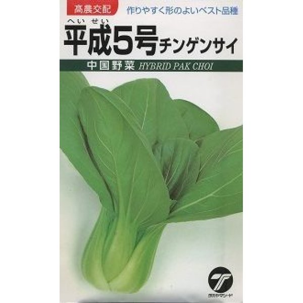 画像1: [中国野菜]　チンゲンサイ　平成5号 10ml　 （株）タカヤマシード (1)