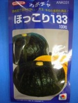 画像: 送料無料　[かぼちゃ]　ほっこり133　100粒　タキイ種苗(株)