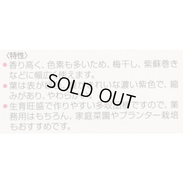 画像2: 送料無料　赤しそ　芳香うら赤しそ　5ml　松永種苗(株) (2)