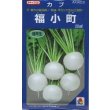 画像1: 送料無料　[かぶ]　福小町　20ml　タキイ種苗(株) (1)