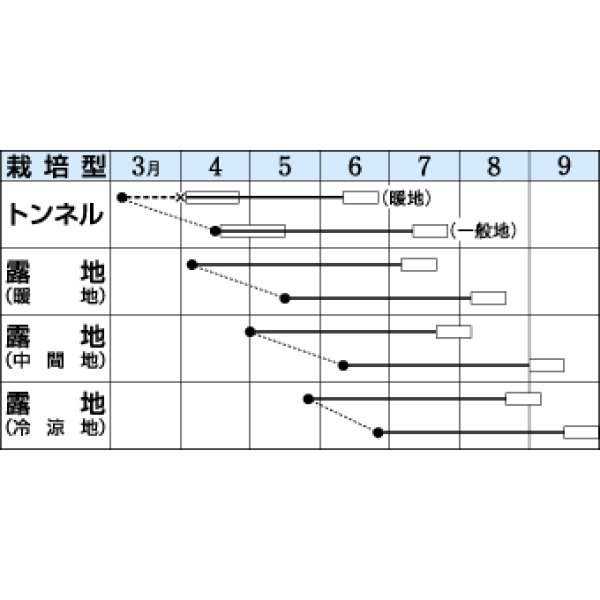 画像2: [枝豆]　福成　80ml（およそ180粒）　タキイ種苗（株）     PF (2)