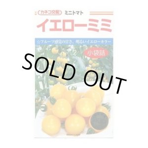 画像: 送料無料　[トマト/ミニトマト]　イエローミミ　1000粒(貴種)　カネコ種苗（株）