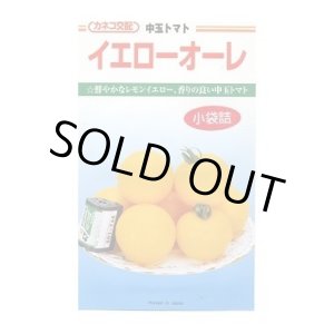 画像: 送料無料　[トマト/中玉トマト]　イエローオーレ　14粒　カネコ種苗（株）