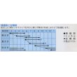 画像2: [牛蒡]　香りのよいサラダごぼう　5ｍｌ　（株）タカヤマシード (2)