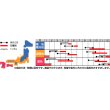 画像3: [大根]　はつかだいこん　カラフルファイブ　約350粒　 サカタ交配　実咲 (3)
