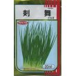 画像1: [ねぎ]　剣舞　20ml　サカタのタネ（株） (1)