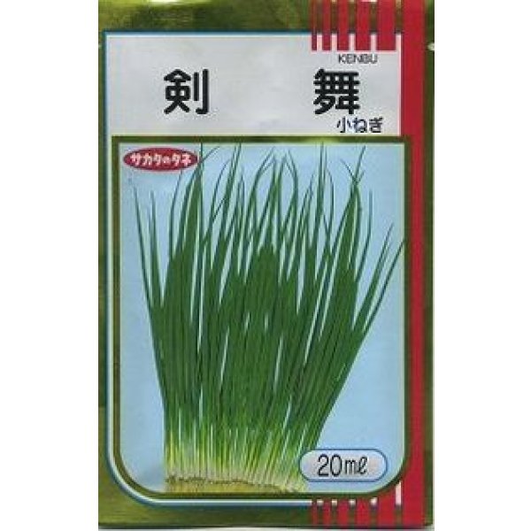 画像1: [ねぎ]　剣舞　20ml　サカタのタネ（株） (1)