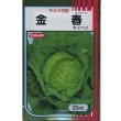 画像2: 送料無料　[キャベツ]　金春　約65粒　(株)サカタのタネ　実咲450（002913） (2)