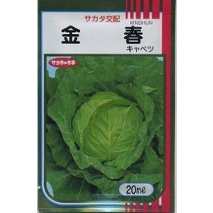 画像: 送料無料　[キャベツ]　金春　20ml　（株）サカタのタネ