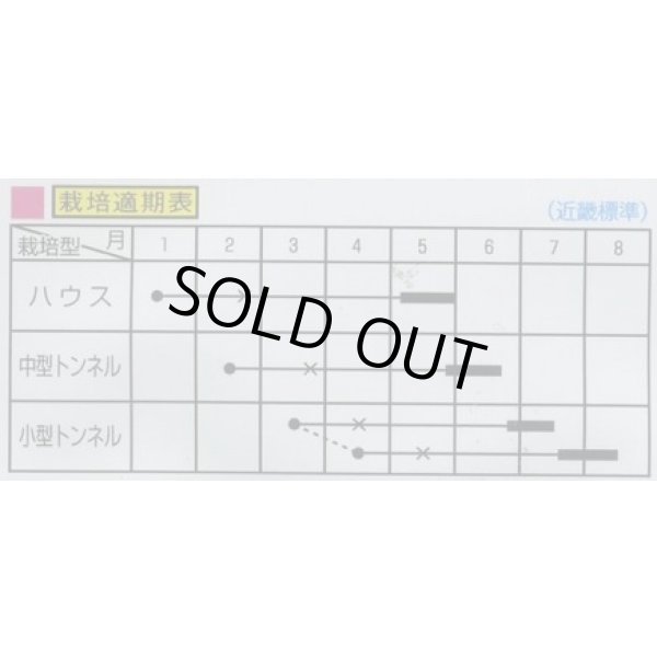 画像2: 送料無料　[瓜類]　まくわ　金城　1ml　（株）大和農園 (2)