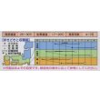 画像2: 送料無料　[かぼちゃ]　金糸瓜　16粒　タキイ種苗(株)　GF (2)
