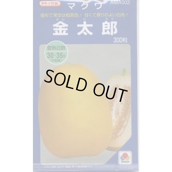 画像1: 送料無料　[瓜類]　マクワ　金太郎　300粒　タキイ種苗(株) (1)