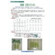 画像2: [枝豆]　恋姫　1L　雪印種苗(株) (2)