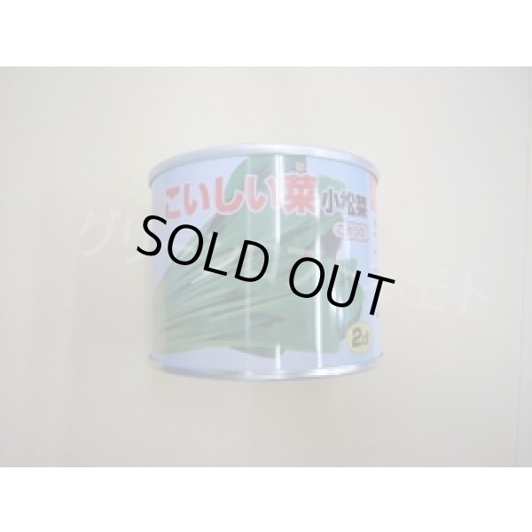 画像1: [小松菜]　こいしい菜　2dl　カネコ種苗（株） (1)