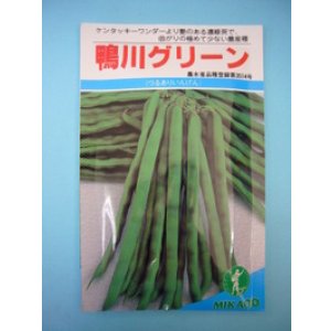 画像: 送料無料　[いんげん]　鴨川グリーン　30ml　ヴィルモランみかど