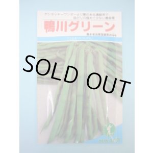 画像: 送料無料　[いんげん]　鴨川グリーン　30ml　ヴィルモランみかど（株）