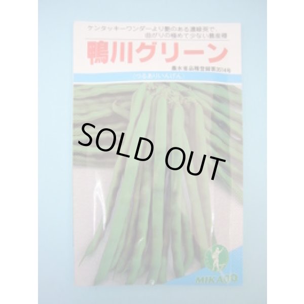 画像1: 送料無料　[いんげん]　鴨川グリーン　30ml　ヴィルモランみかど（株） (1)