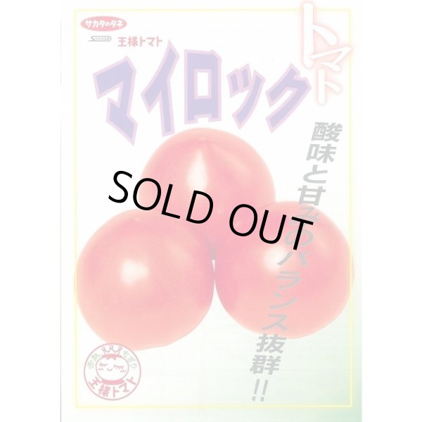 画像3: 送料無料 [トマト] マイロック 1000粒 (株)サカタのタネ (3)