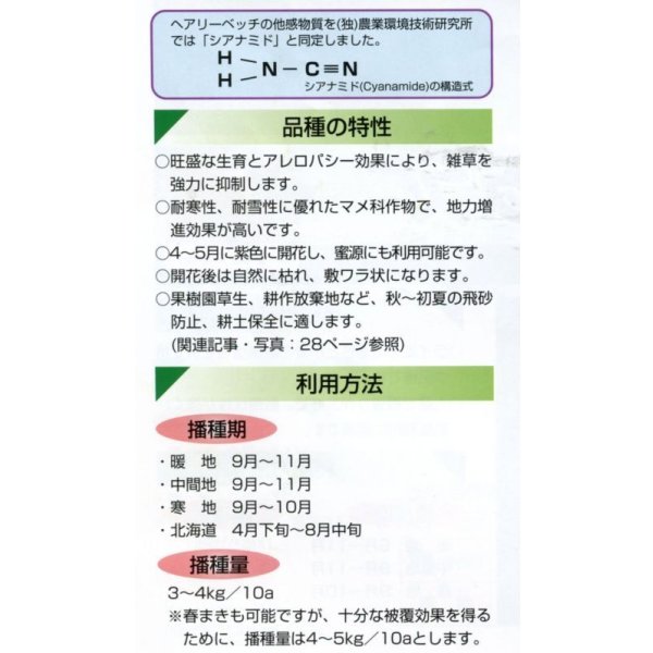 画像2: [緑肥]　ヘアリーベッチ　まめっこ　1kg　カネコ種苗(株) (2)