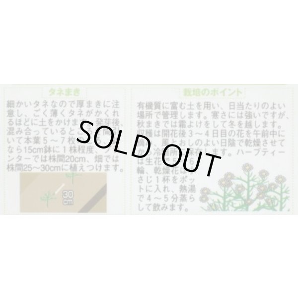 画像2: 送料無料　[ハーブの種]　カモミール　約4150粒　(株)サカタのタネ　実咲（003179） (2)