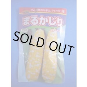 画像: 送料無料　[とうもろこし]　まるかじり　200粒　渡辺農事（株）