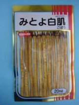 画像: 送料無料　[牛蒡]　みとよ白肌　20ml　(株)サカタのタネ