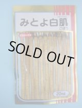 画像: 送料無料　[牛蒡]　みとよ白肌　20ml　(株)サカタのタネ