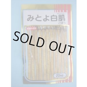 画像: 送料無料　[牛蒡]　みとよ白肌　20ml　(株)サカタのタネ
