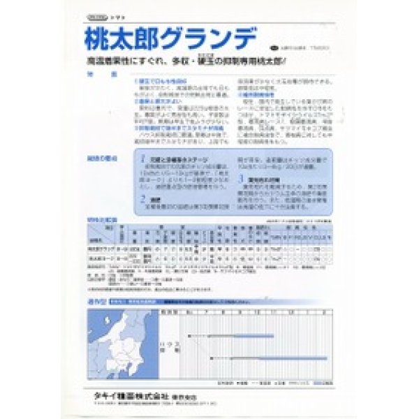 画像2: [トマト/桃太郎系]　送料無料！　桃太郎グランデ　ペレット1000粒　タキイ種苗（株） (2)