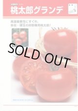 画像: 送料無料 [トマト/桃太郎系] 桃太郎グランデ ペレット1000粒 タキイ種苗(株)
