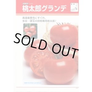 画像: 送料無料 [トマト/桃太郎系] 桃太郎グランデ ペレット1000粒 タキイ種苗(株)