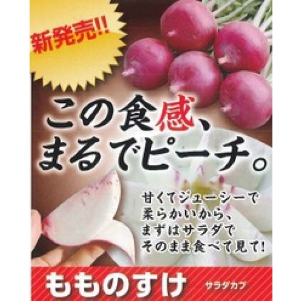 画像3: 送料無料　[かぶ]　もものすけ　1ml(約200粒)　ナント種苗(株) (3)