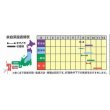 画像2: [かぶ]　もものすけ　１ml（約200粒）　ナント種苗（株） (2)