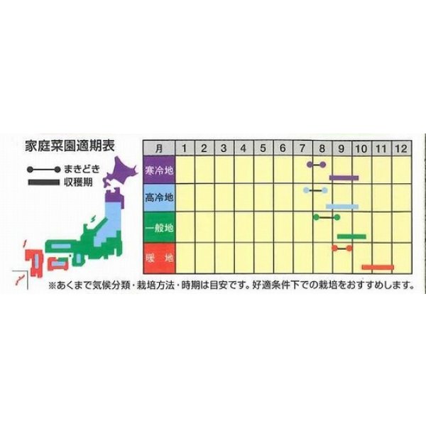 画像2: 送料無料　[かぶ]　もものすけ　1ml(約200粒)　ナント種苗(株) (2)
