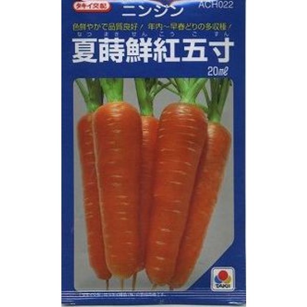 画像1: 送料無料　[人参]　夏蒔鮮紅五寸　20ml　タキイ種苗 (1)